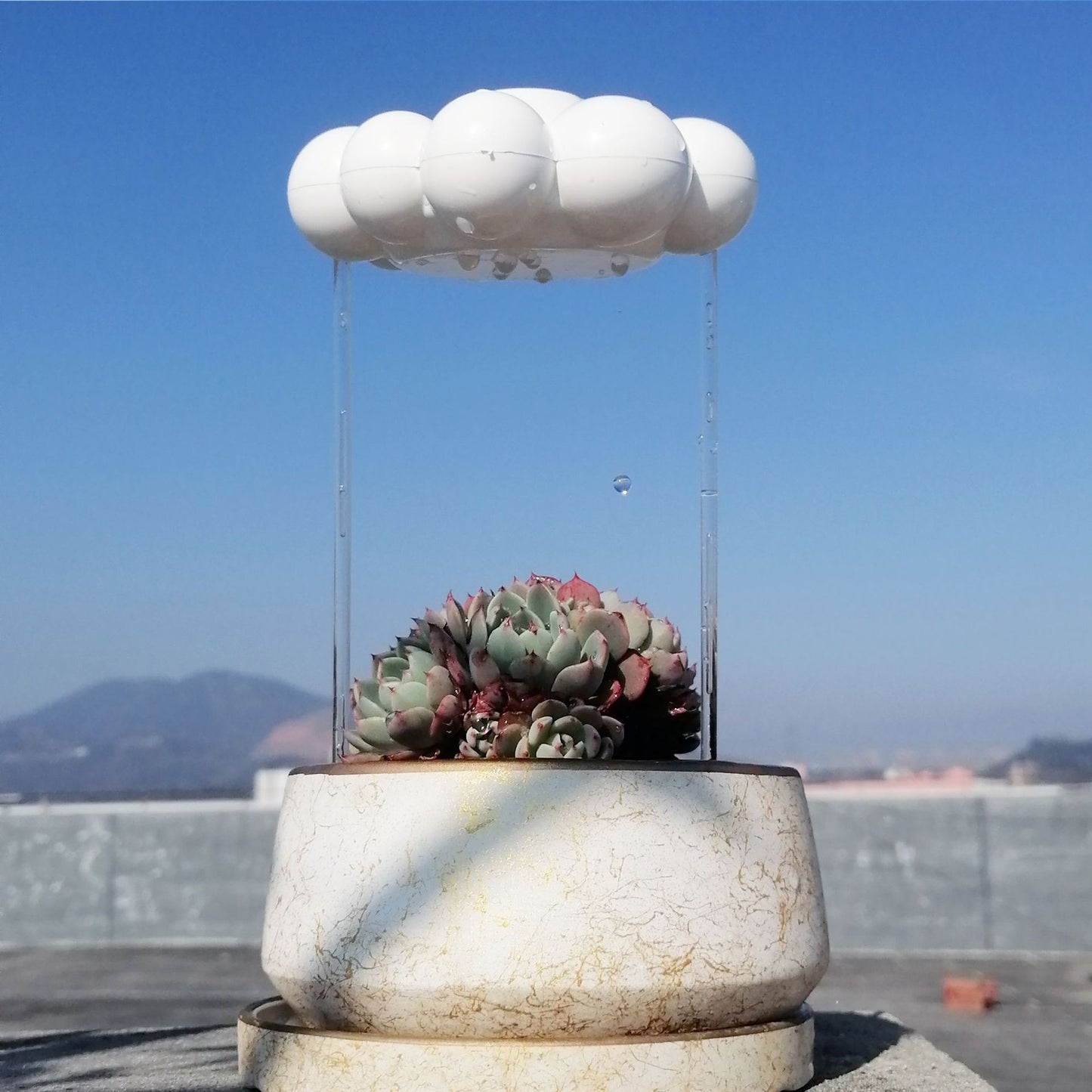 Rain Cloud Plant Waterer - Self-Dripping Irrigation Pot Decoration